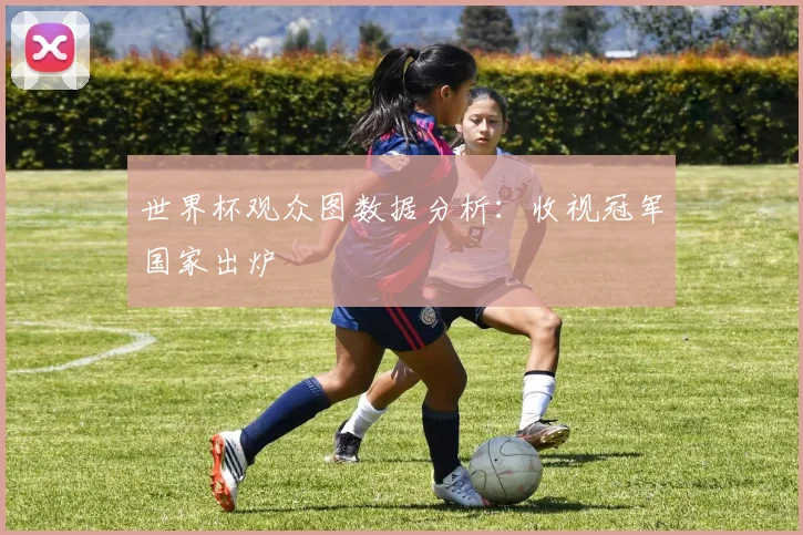 世界杯观众图数据分析：收视冠军国家出炉
