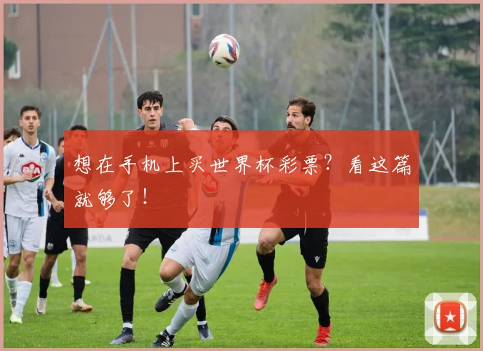 想在手机上买世界杯彩票？看这篇就够了！