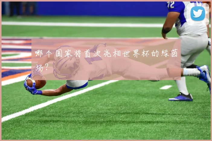 哪个国家将首次亮相世界杯的绿茵场?