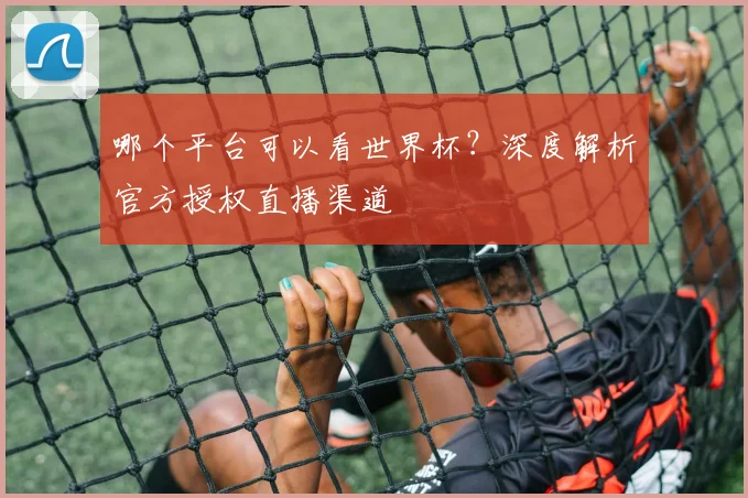 哪个平台可以看世界杯?深度解析官方授权直播渠道