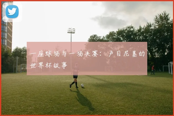 一座球场与一场决赛：卢日尼基的世界杯故事