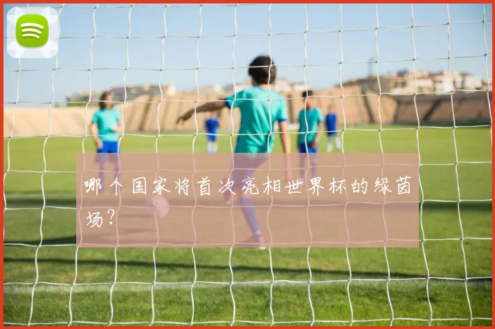 哪个国家将首次亮相世界杯的绿茵场?