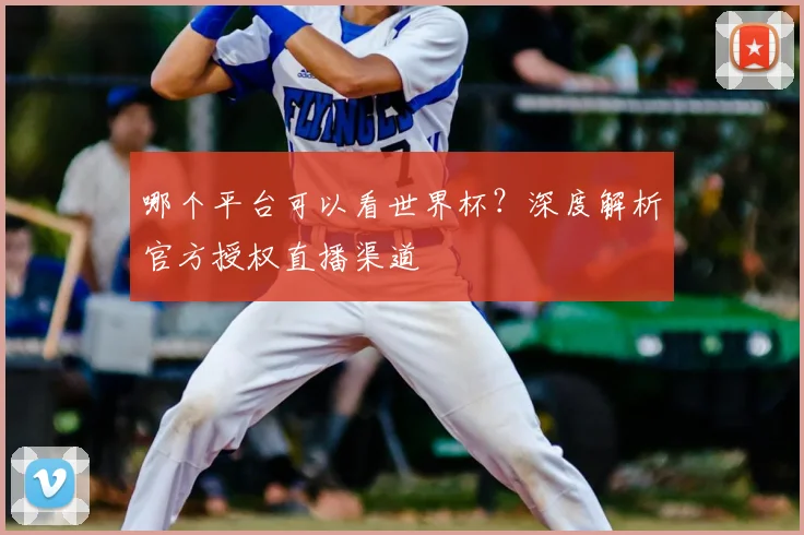 哪个平台可以看世界杯?深度解析官方授权直播渠道